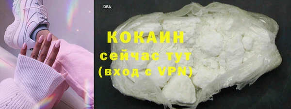 ешки Алзамай
