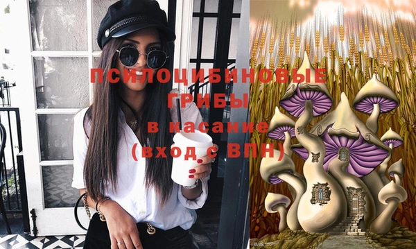 гидропоника Алексин