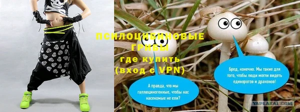 бутират Алексеевка