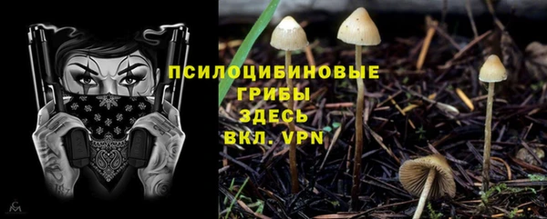 гидропоника Алексин