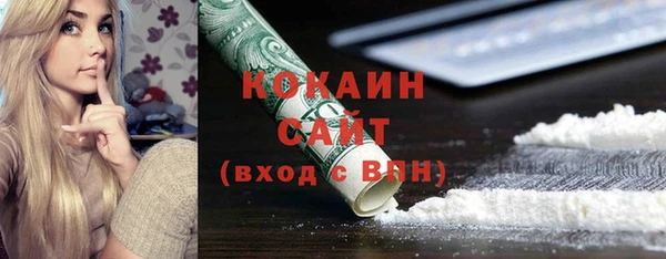 ПСИЛОЦИБИНОВЫЕ ГРИБЫ Заволжье