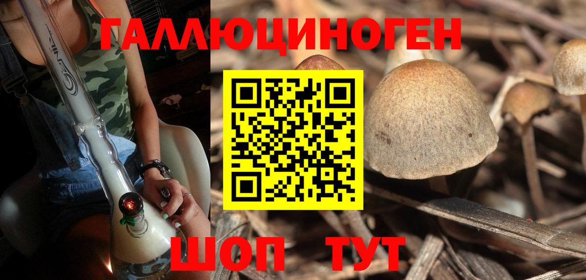 Лангепас  Галлюциногенные грибы GOLDEN TEACHER  Вход с VPN 