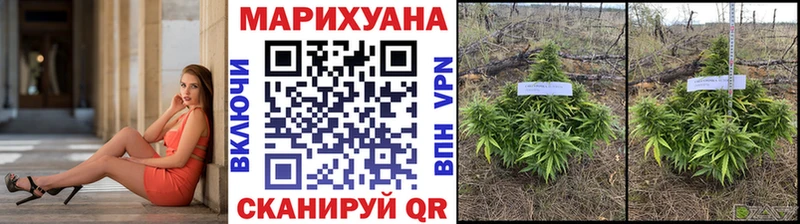 KRAKEN сайт  Лангепас  Конопля индика 